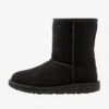 Ugg CLASSIC II - Stiefelette - Black