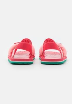 Ugg ZUMA SLING STUFFIE UNISEX - Riemensandalette - Watermelon -Ugg 7dd52509e09a4c0fb48c2f61a1b71d3a