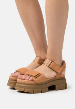 Ugg ASHTON ANKLE - Plateausandalette - Toast