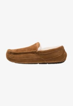 Ugg ASCOT - Hausschuh - Cognac